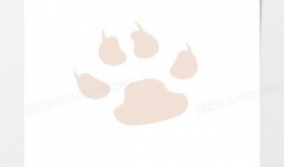 猫爪短视频素材,揭秘猫爪短视频的魅力