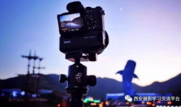 西安短视频拍摄,西安短视频带你领略古都魅力